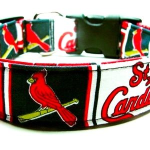 St. Louis dog collar